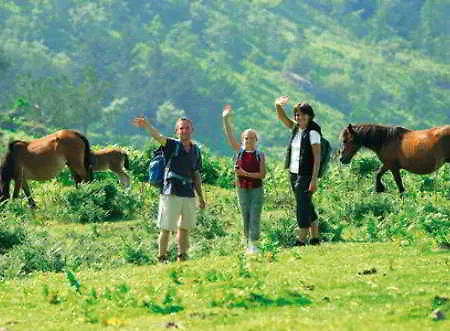 Vvf Pays Basque La Rhune Feriepark
