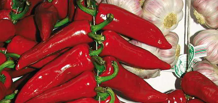 Vvf Pays Basque La Rhune Kompleks wypoczynkowy Sare