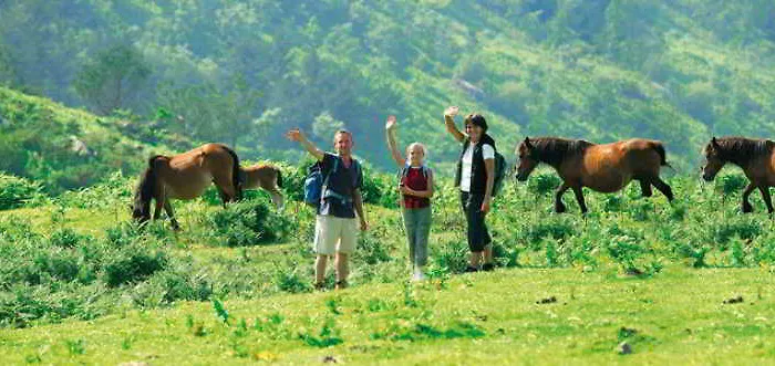 Vvf Pays Basque La Rhune Ferienpark